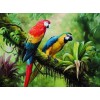 Colorful Parrots in Forest