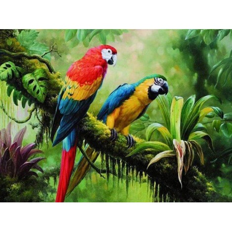 Colorful Parrots in Forest