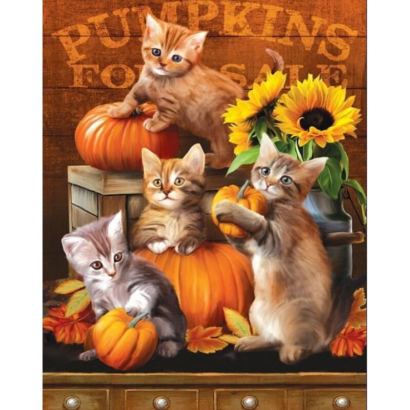 Kittens & Pumpki...