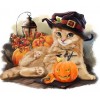 Adorable Halloween Cat