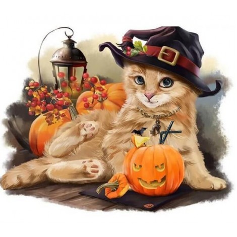 Adorable Halloween Cat