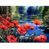 Poppy Flowers by the Lake
