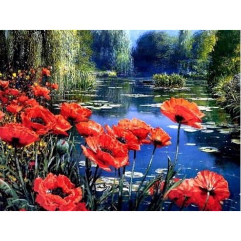 Poppy Flowers by the Lake