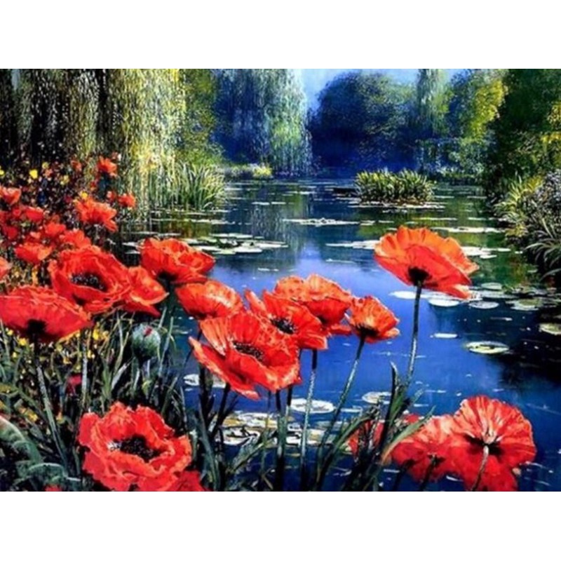 Poppy Flowers by the...