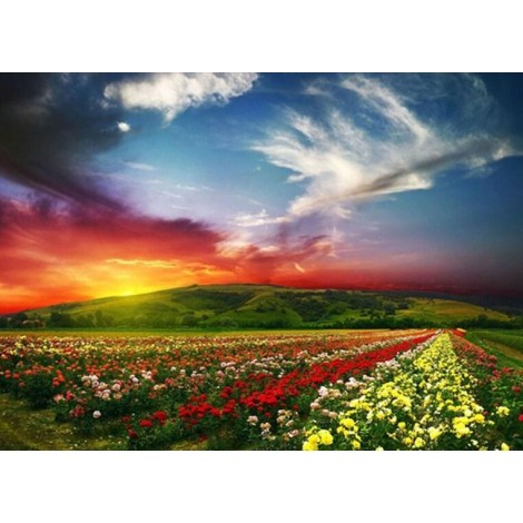 Red Sky & Flower Beds